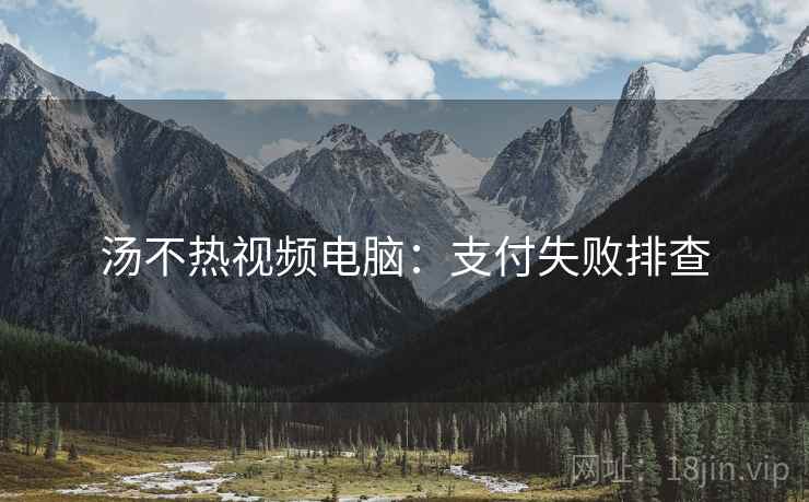 汤不热视频电脑：支付失败排查