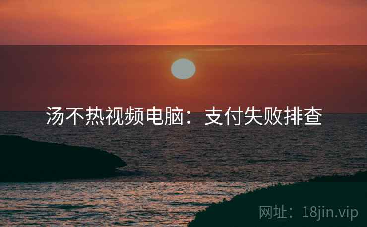 汤不热视频电脑：支付失败排查