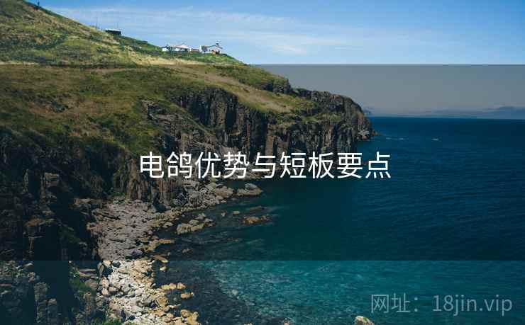 电鸽优势与短板要点