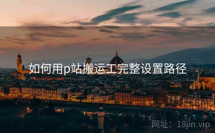 如何用p站搬运工完整设置路径