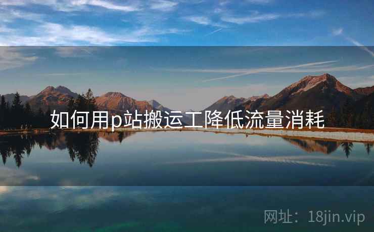如何用p站搬运工降低流量消耗