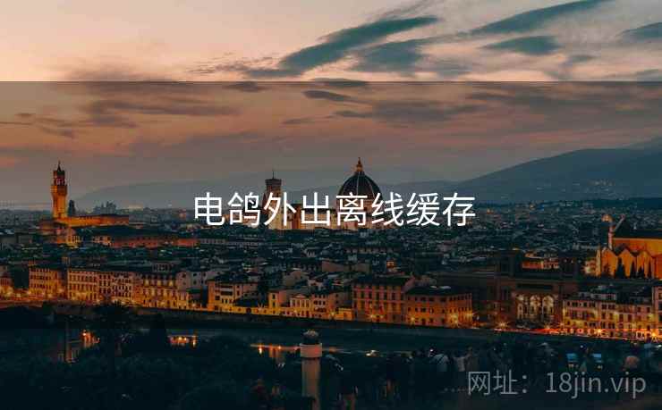电鸽外出离线缓存