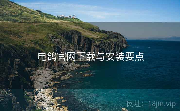 电鸽官网下载与安装要点