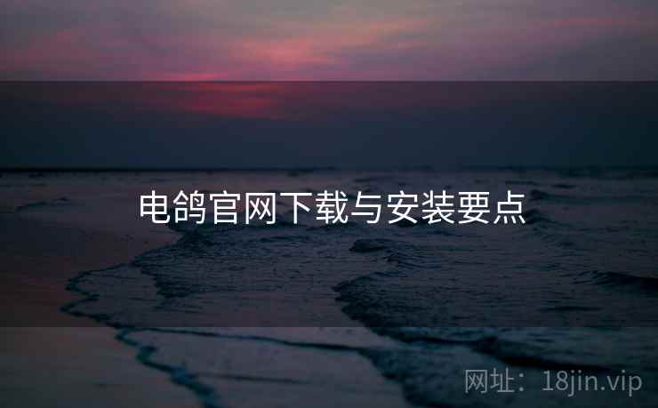 电鸽官网下载与安装要点