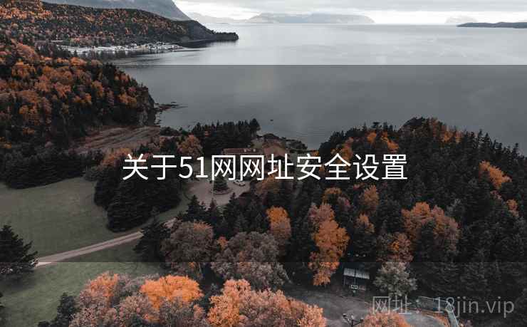 关于51网网址安全设置