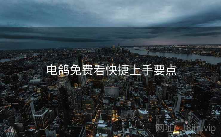 电鸽免费看快捷上手要点