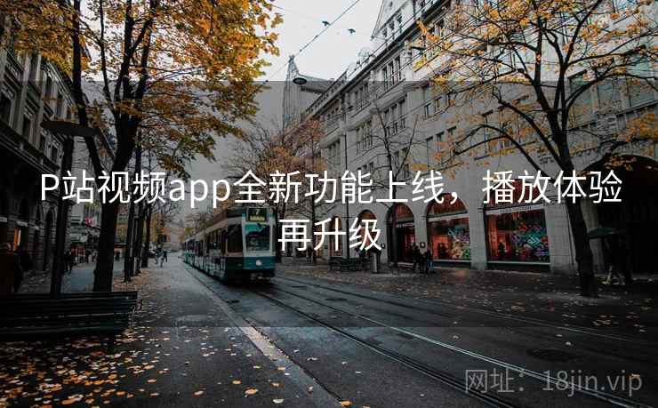 P站视频app全新功能上线，播放体验再升级