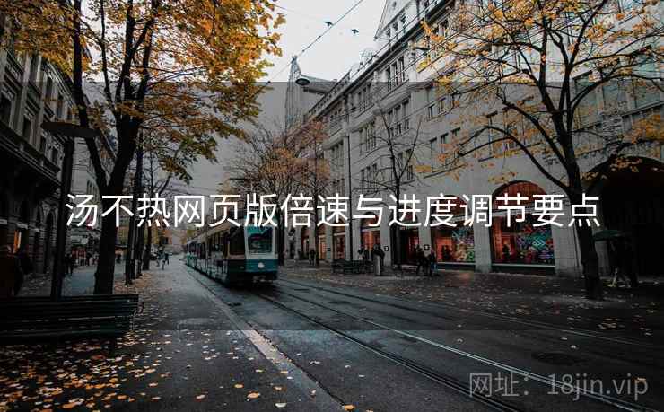 汤不热网页版倍速与进度调节要点