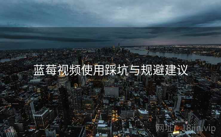蓝莓视频使用踩坑与规避建议
