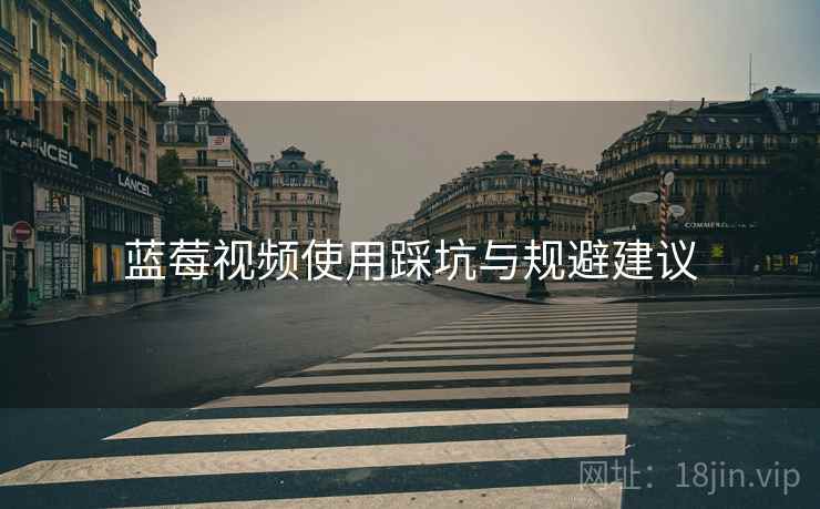 蓝莓视频使用踩坑与规避建议