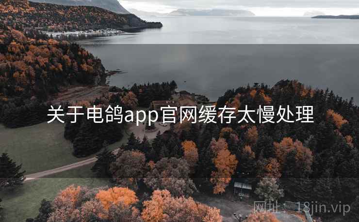 关于电鸽app官网缓存太慢处理