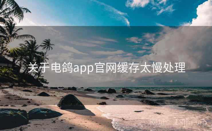 关于电鸽app官网缓存太慢处理