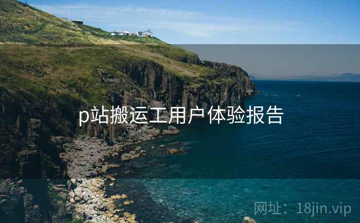 p站搬运工用户体验报告