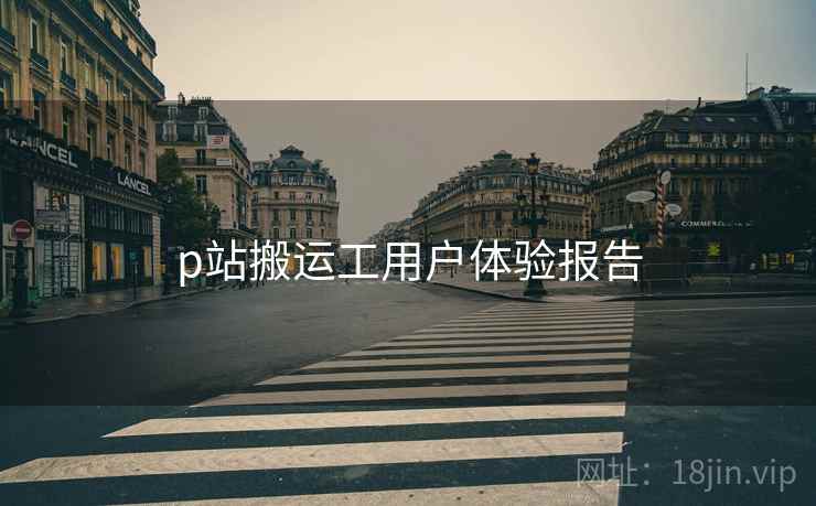 p站搬运工用户体验报告