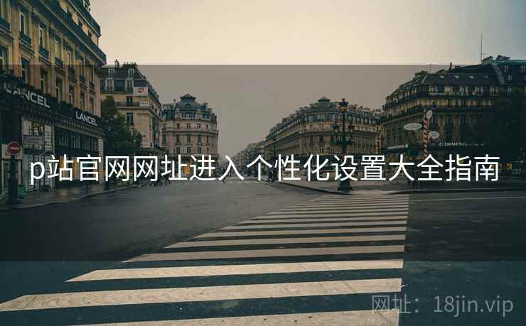 p站官网网址进入个性化设置大全指南