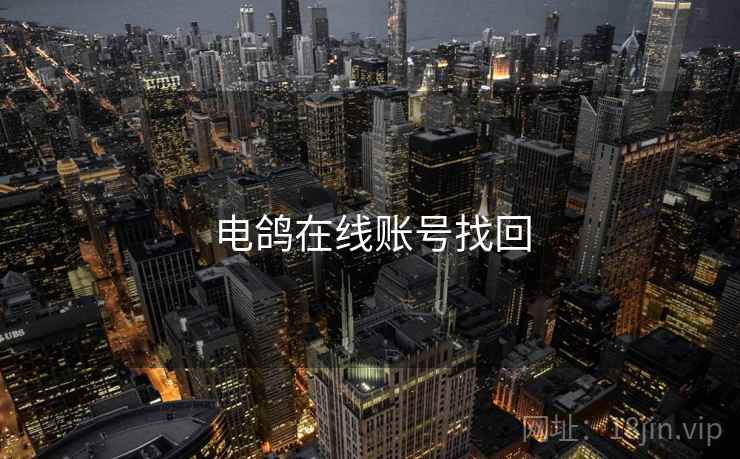 电鸽在线账号找回