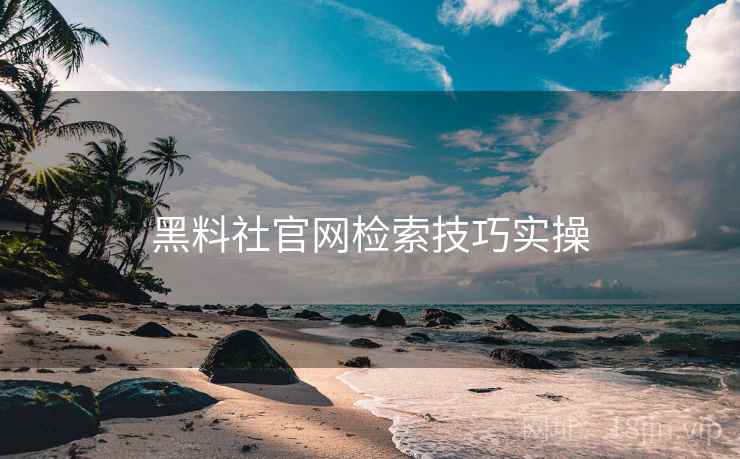 黑料社官网检索技巧实操