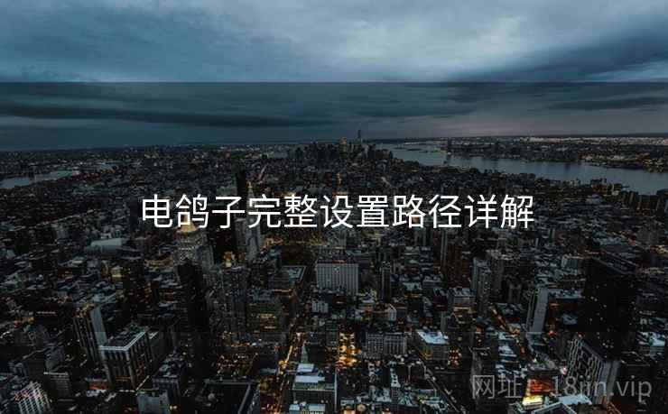 电鸽子完整设置路径详解