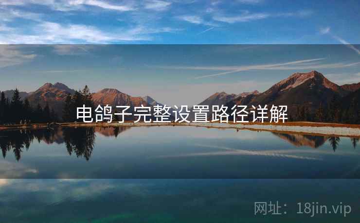 电鸽子完整设置路径详解