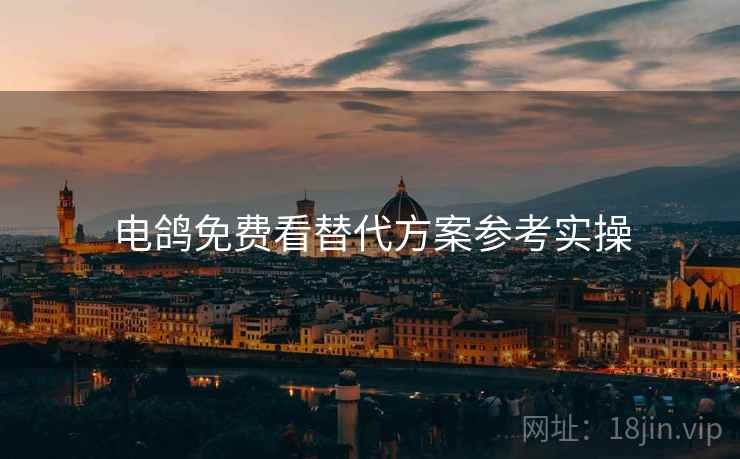电鸽免费看替代方案参考实操