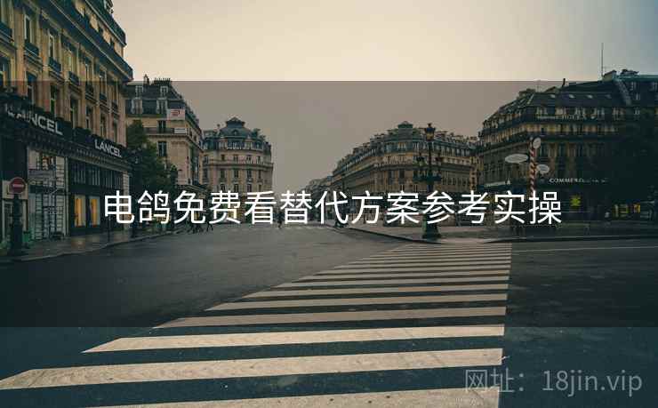 电鸽免费看替代方案参考实操